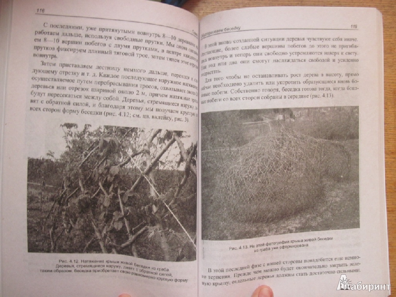 Иллюстрация 6 из 11 для Строим из живых деревьев - Герман Блок | Лабиринт - книги. Источник: товарищ маузер