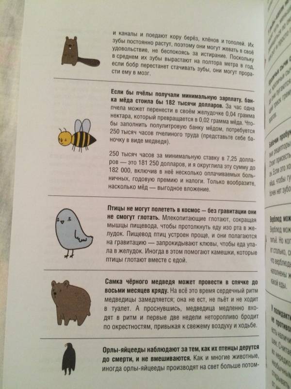 Иллюстрация 26 из 32 для Грустные факты о животных - Брук Баркер | Лабиринт - книги. Источник: Marina