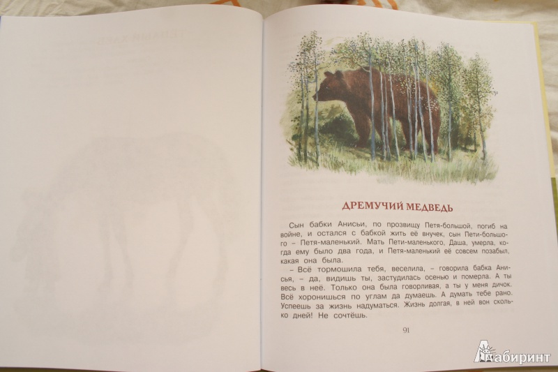 Иллюстрация 17 из 69 для Корзина с еловыми шишками - Константин Паустовский | Лабиринт - книги. Источник: kolobus