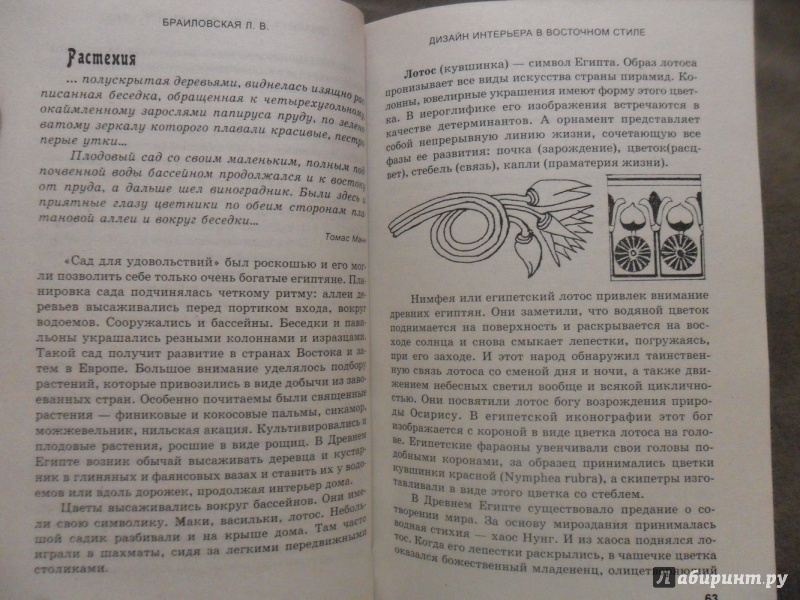 Иллюстрация 8 из 15 для Дизайн интерьера в восточном стиле: Япония, Китай, Индия, Египет - Людмила Браиловская | Лабиринт - книги. Источник: sleits