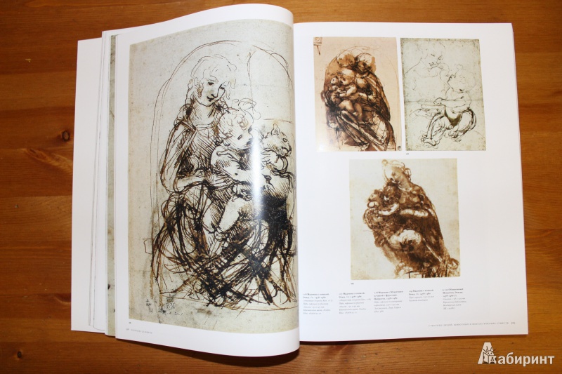 Иллюстрация 16 из 22 для Леонардо да Винчи: Полное собрание живописи и графики в 2-х томах - Цельнер, Натан | Лабиринт - книги. Источник: so-vanille