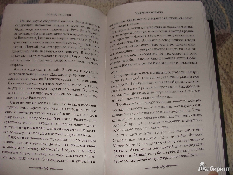 Иллюстрация 26 из 35 для Сумеречные охотники. Книга 1. Город костей - Кассандра Клэр | Лабиринт - книги. Источник: Шевченко  Евгения