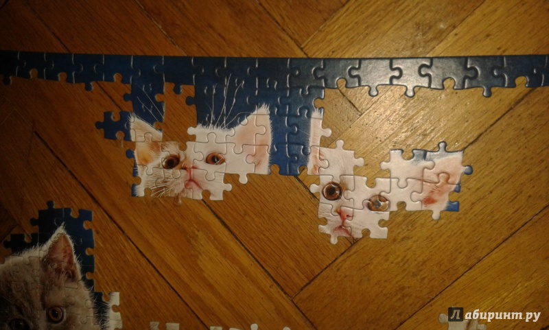 Иллюстрация 3 из 8 для Puzzle-500 "4 котенка" (B-52042) | Лабиринт - игрушки. Источник: Соколенко  Света