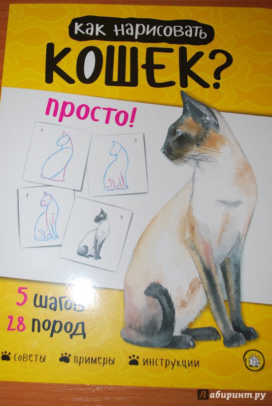 Иллюстрация 10 из 25 для Как нарисовать кошек? Просто! - Полли Пиндер | Лабиринт - книги. Источник: Нади
