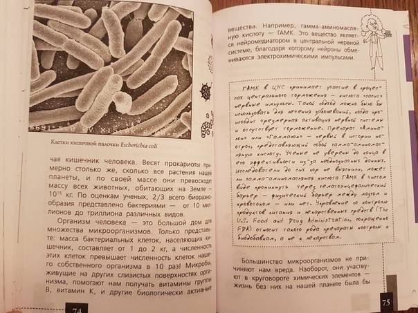 Иллюстрация 9 из 28 для Как работает иммунитет - Екатерина Умнякова | Лабиринт - книги. Источник: Кабацкая  Алина