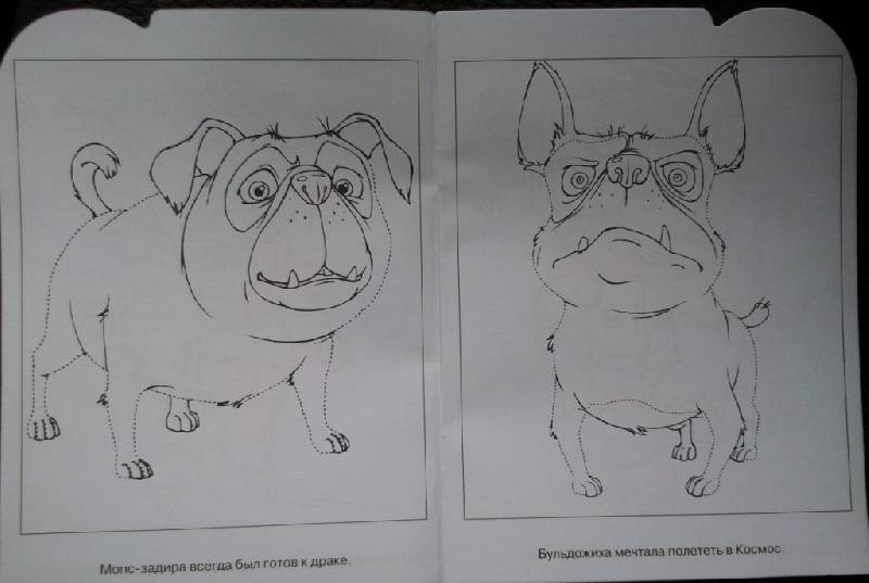 Иллюстрация 13 из 19 для Умная раскраска "Белка и Стрелка. Звездные собаки" (№ 1041) | Лабиринт - книги. Источник: Орешек
