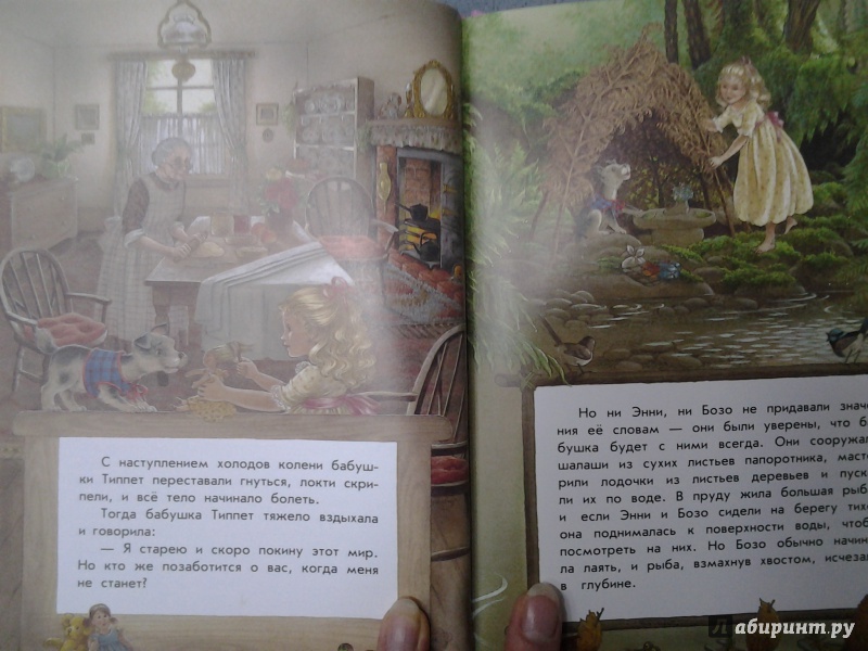 Иллюстрация 21 из 32 для Волшебная радуга - Ширли Барбер | Лабиринт - книги. Источник: Olga