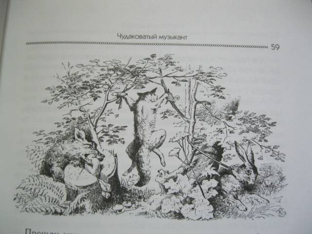 Иллюстрация 61 из 95 для Сказки - Гримм Якоб и Вильгельм | Лабиринт - книги. Источник: NINANI