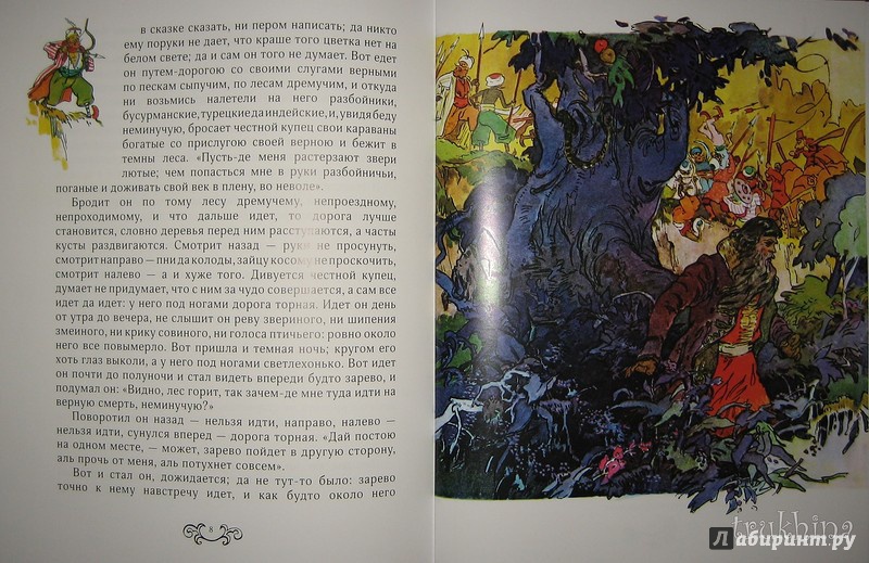 Иллюстрация 27 из 49 для Аленький цветочек - Сергей Аксаков | Лабиринт - книги. Источник: Трухина Ирина