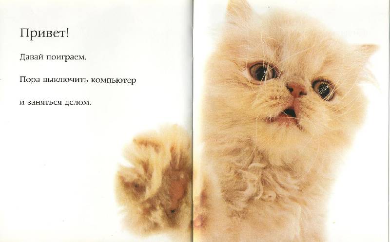 Иллюстрация 5 из 11 для Самые очаровательные кошки | Лабиринт - книги. Источник: ЛиС-а