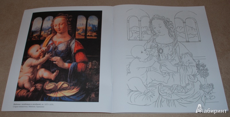 Иллюстрация 3 из 32 для Леонардо да Винчи | Лабиринт - книги. Источник: Книжный кот