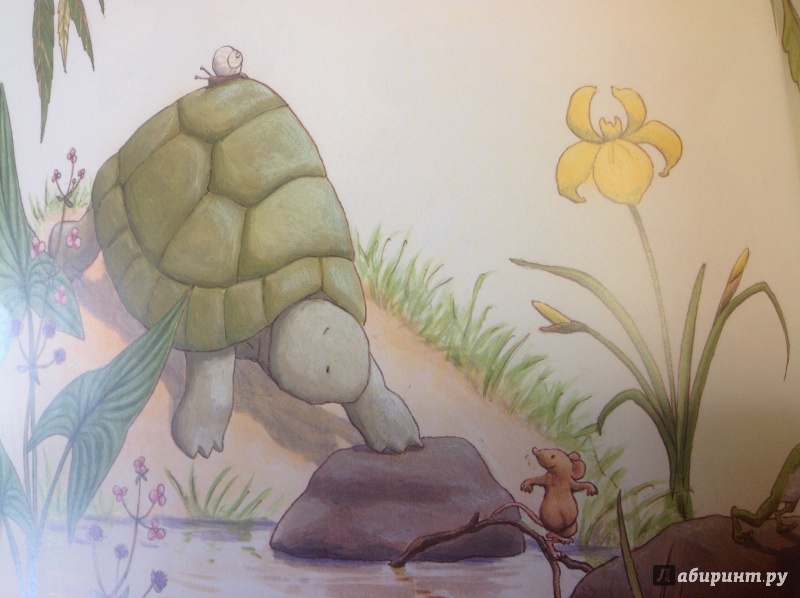 Иллюстрация 6 из 35 для Как Заяц и Черепаха книжку читали - Лейн Марлоу | Лабиринт - книги. Источник: Sage Tea