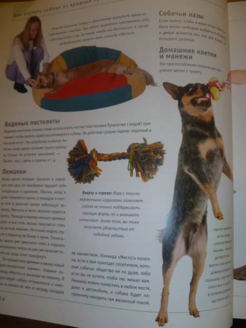 Иллюстрация 31 из 42 для Как отучить собаку от вредных привычек - Колин Теннант | Лабиринт - книги. Источник: Avid Reader