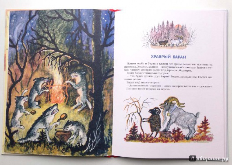 Иллюстрация 6 из 34 для Дружба зверей | Лабиринт - книги. Источник: Olga