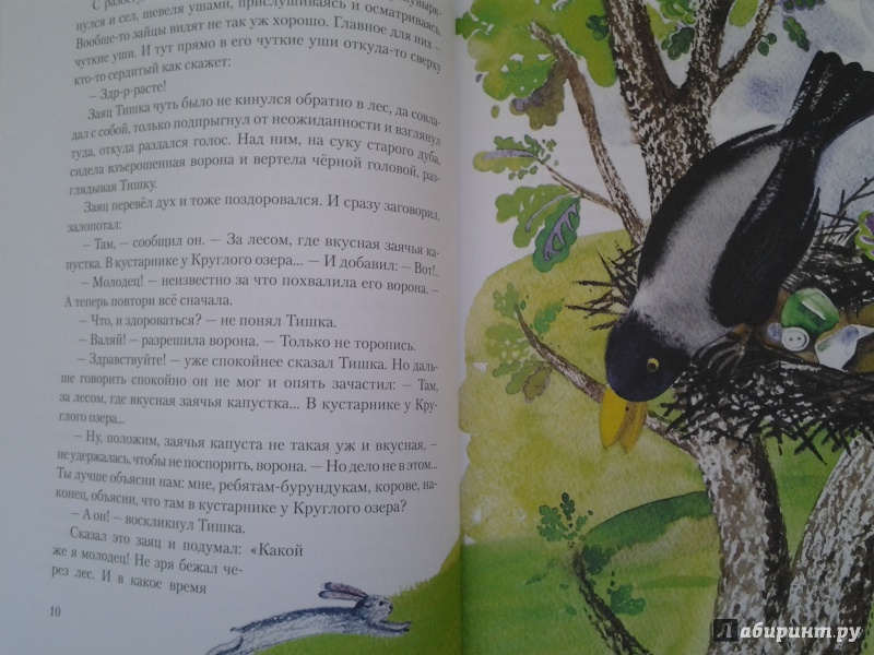 Иллюстрация 34 из 63 для Знакомая корова - Николай Наволочкин | Лабиринт - книги. Источник: Olga