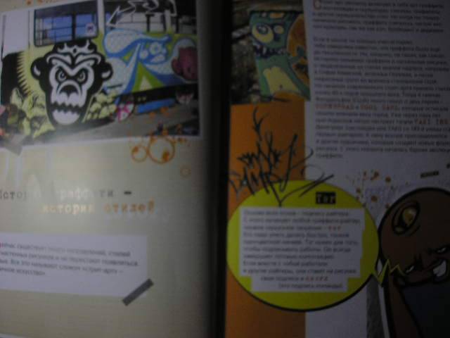 Иллюстрация 2 из 13 для Граффити. Искусство улиц | Лабиринт - книги. Источник: Усатый-Полосатый