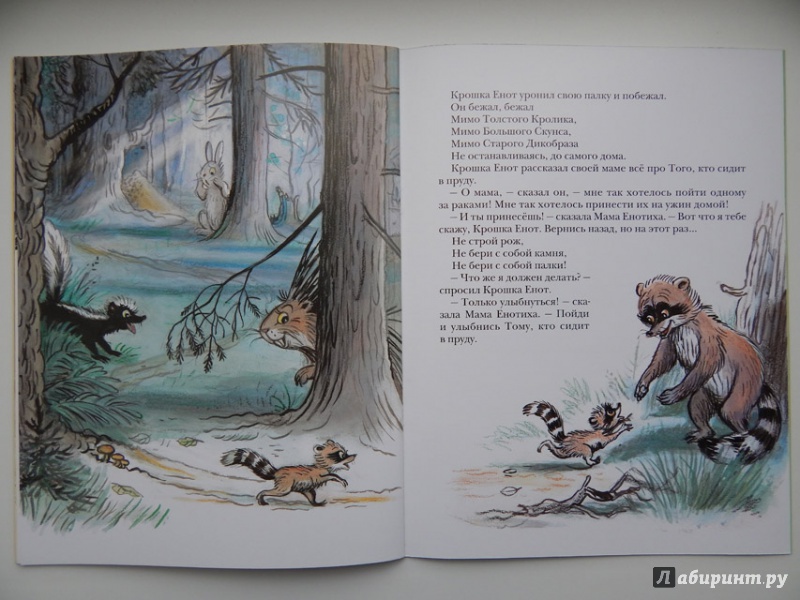 Иллюстрация 37 из 97 для Крошка Енот и тот, кто сидит в пруду - Лилиан Муур | Лабиринт - книги. Источник: Мелкова  Оксана