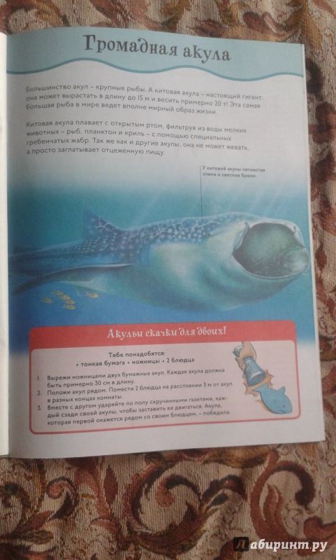 Иллюстрация 18 из 28 для Акулы | Лабиринт - книги. Источник: Соколенко  Света
