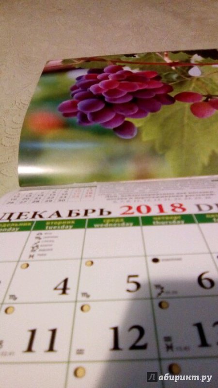 Иллюстрация 10 из 23 для Календарь настенный на 2018 год "Лунный календарь садовода и огородника" (30809) | Лабиринт - сувениры. Источник: Лаевская Мария