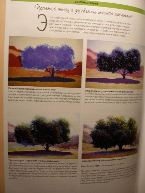 Иллюстрация 5 из 29 для Рисуем маслом и пастелью. Проблема передачи света и цвета - Сьюзен Сарбек | Лабиринт - книги. Источник: Tigreva