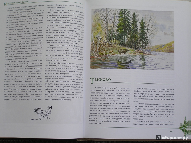 Иллюстрация 31 из 48 для Моя жизнь в лесу и дома - Валентин Пажетнов | Лабиринт - книги. Источник: Shurshun