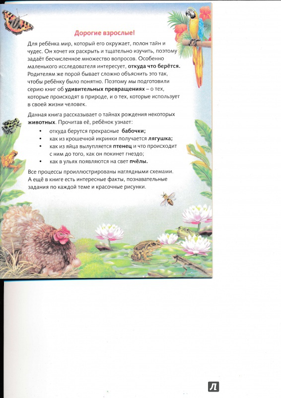 Иллюстрация 6 из 37 для Удивительные превращения. Как появляются живые организмы - Марина Султанова | Лабиринт - книги. Источник: Террил