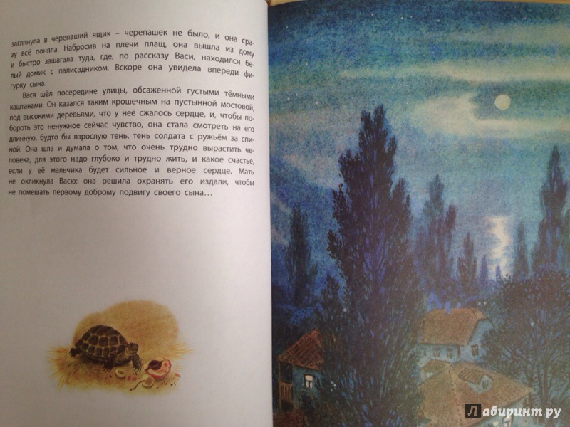 Иллюстрация 23 из 47 для Старая черепаха - Юрий Нагибин | Лабиринт - книги. Источник: Кузнецова  Ирина