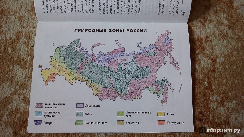 Иллюстрация 10 из 32 для Природные зоны России | Лабиринт - книги. Источник: Ивашкина  Анна Андреевна
