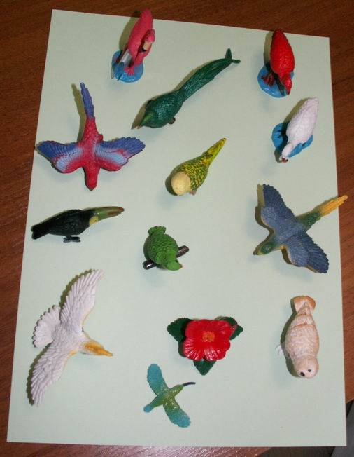 Иллюстрация 10 из 20 для Экзотические птицы (680404) | Лабиринт - игрушки. Источник: ariadna