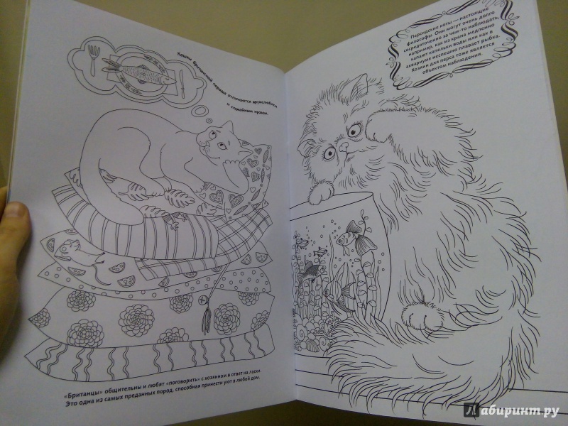 Иллюстрация 7 из 17 для Котята | Лабиринт - книги. Источник: Ульянова Мария