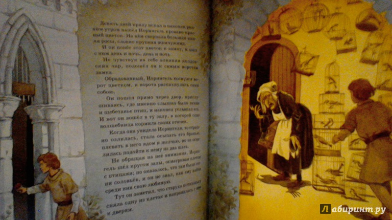 Иллюстрация 12 из 23 для Сказки - Гримм Якоб и Вильгельм | Лабиринт - книги. Источник: Natali Lo