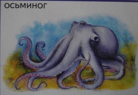 Иллюстрация 7 из 8 для Лото: Морские животные (350х500) | Лабиринт - игрушки. Источник: Настёна