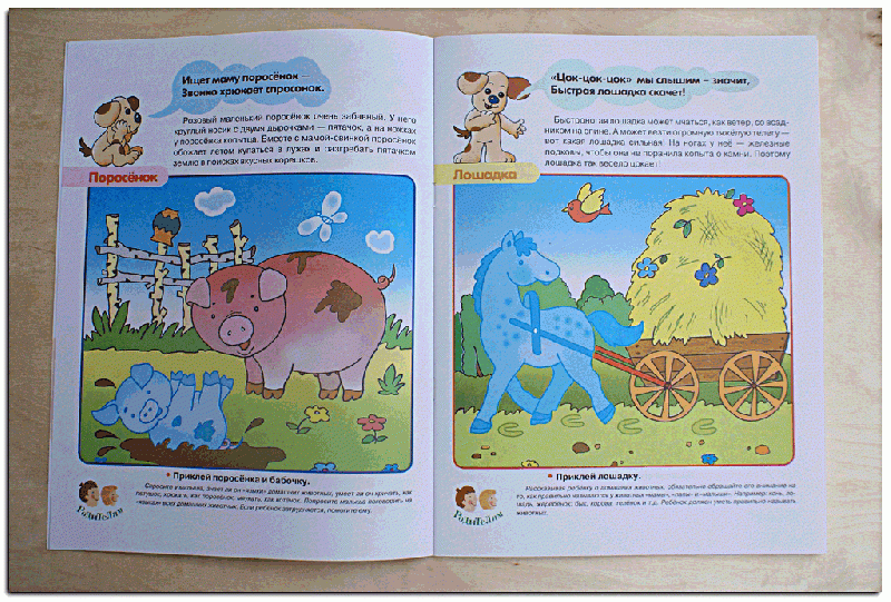 Иллюстрация 6 из 16 для Домашние животные. Первые уроки 3+ - Софья Буланова | Лабиринт - книги. Источник: РИВА