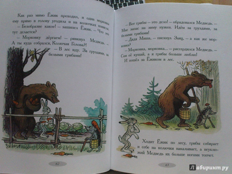 Иллюстрация 16 из 46 для Подарок для самых маленьких - Владимир Сутеев | Лабиринт - книги. Источник: Чубарова  Наталья