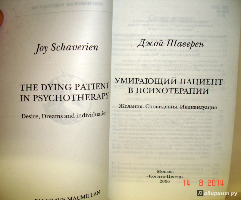 Иллюстрация 3 из 8 для Умирающий пациент в психотерапии. Желания. Сновидения. Индивидуация - Джой Шаверен | Лабиринт - книги. Источник: Kassavetes