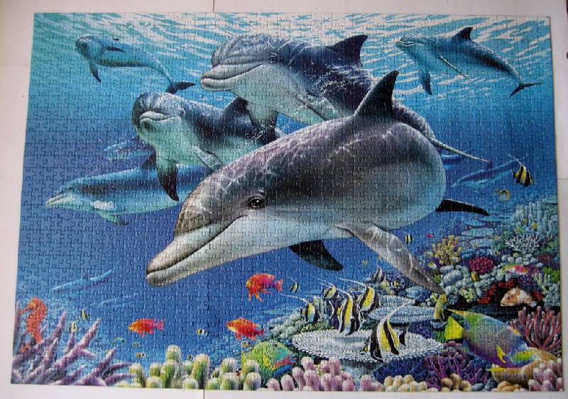 Иллюстрация 3 из 4 для Пазл-1500  Подводный рай (11750) | Лабиринт - игрушки. Источник: brilliant idea