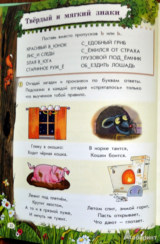 Иллюстрация 39 из 48 для Все правила русского языка для детей - Мария Фетисова | Лабиринт - книги. Источник: Ассоль
