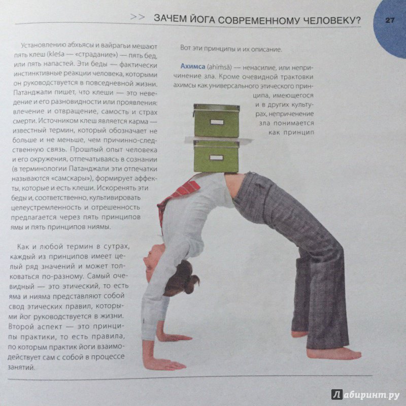 Иллюстрация 25 из 32 для Йога для начинающих - Дмитрий Комаровский | Лабиринт - книги. Источник: Горшкова  Юлия