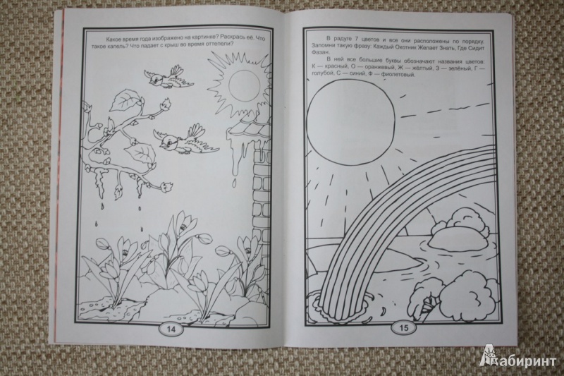 Иллюстрация 10 из 16 для Времена года (для детей от 3-х лет) | Лабиринт - книги. Источник: Рудис  Александра