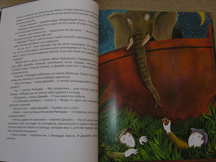 Иллюстрация 5 из 34 для Зоопарк историй - Родари, Теста | Лабиринт - книги. Источник: Skromnost'