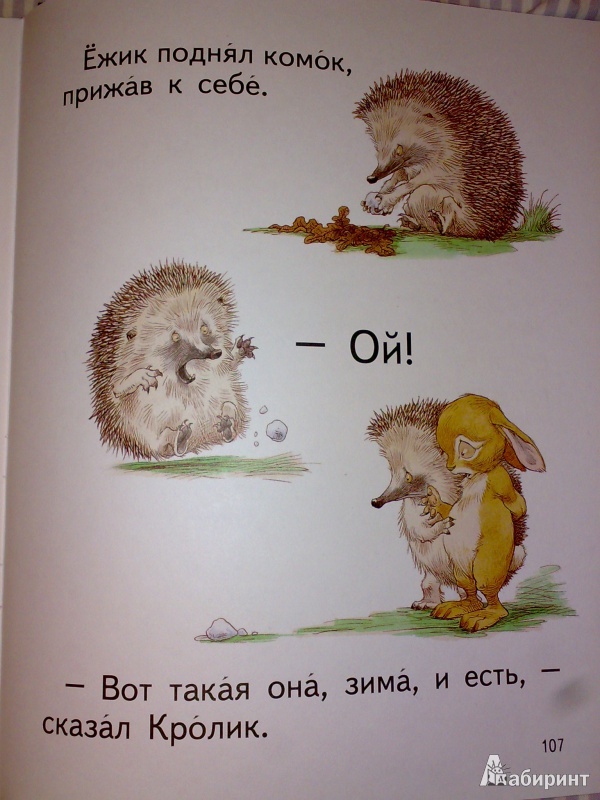 Иллюстрация 36 из 55 для Сказки о Ёжике и Кролике - Пол Стюарт | Лабиринт - книги. Источник: Richy_mommy