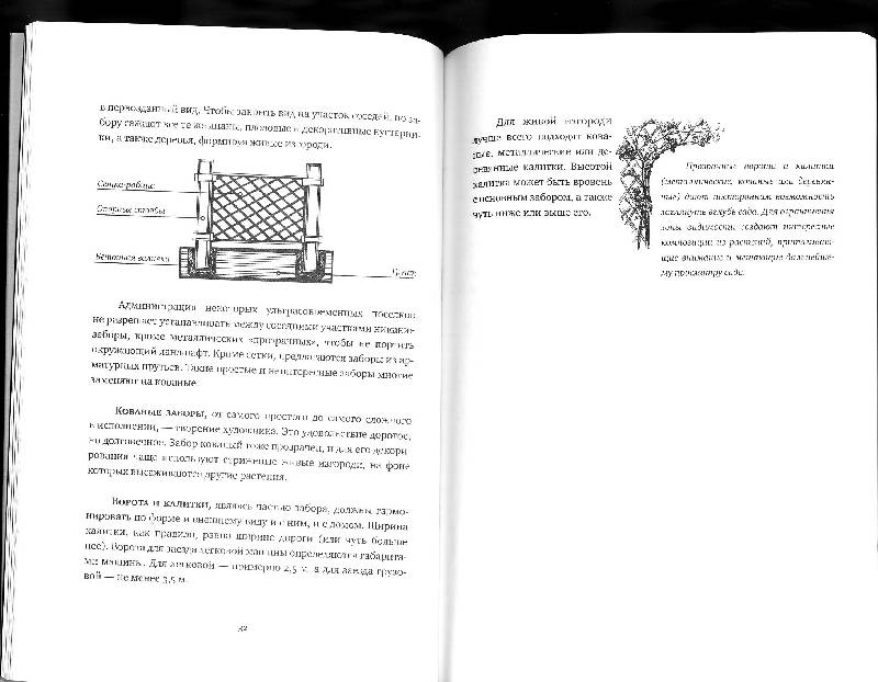 Иллюстрация 3 из 11 для Пособие по оформлению садового участка для непрофессионалов - Татьяна Рубис | Лабиринт - книги. Источник: sandy