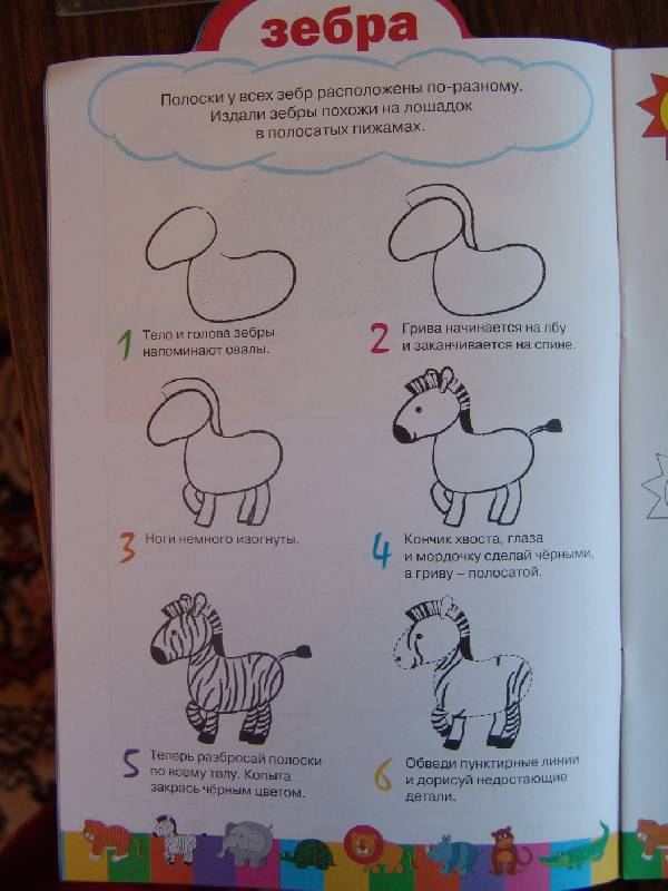 Иллюстрация 7 из 8 для Дикие животные | Лабиринт - книги. Источник: Лаванда