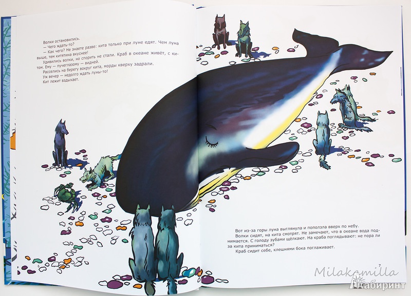 Иллюстрация 19 из 51 для Морские сказки - Святослав Сахарнов | Лабиринт - книги. Источник: Букландия