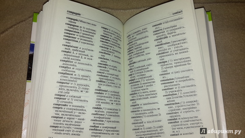 Иллюстрация 13 из 43 для Французский язык. Грамматика, разговорник, словарь | Лабиринт - книги. Источник: Маруся (@smelayatrysixa)