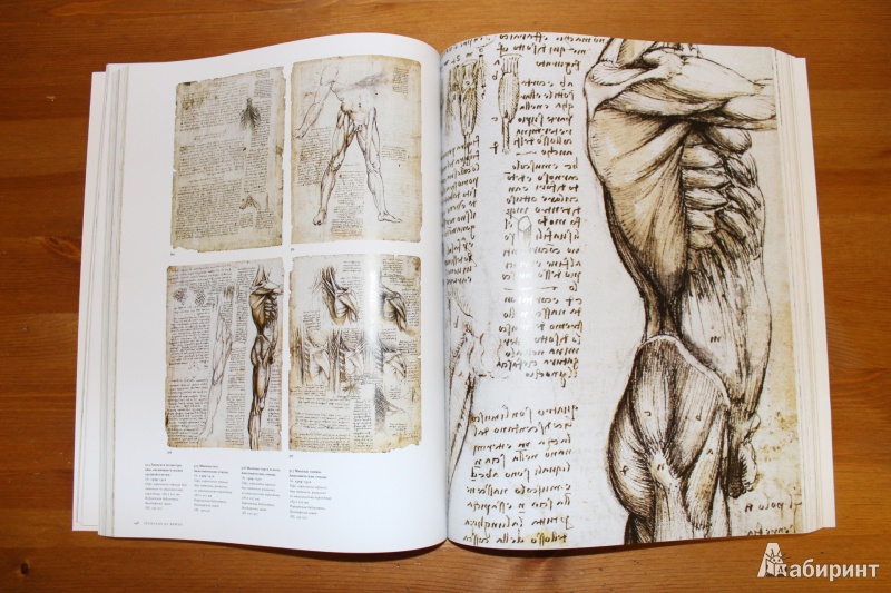 Иллюстрация 10 из 22 для Леонардо да Винчи: Полное собрание живописи и графики в 2-х томах - Цельнер, Натан | Лабиринт - книги. Источник: so-vanille