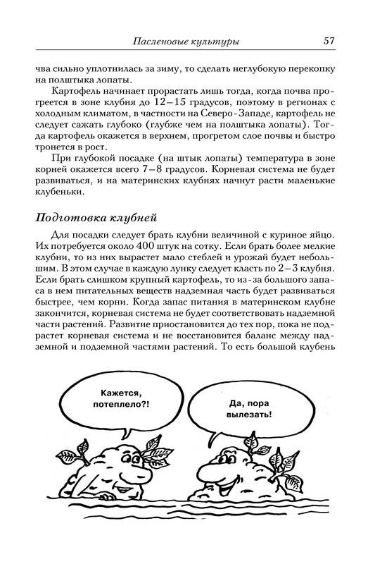 Иллюстрация 11 из 14 для Новые идеи для сада и огорода - Галина Кизима | Лабиринт - книги. Источник: Ялина