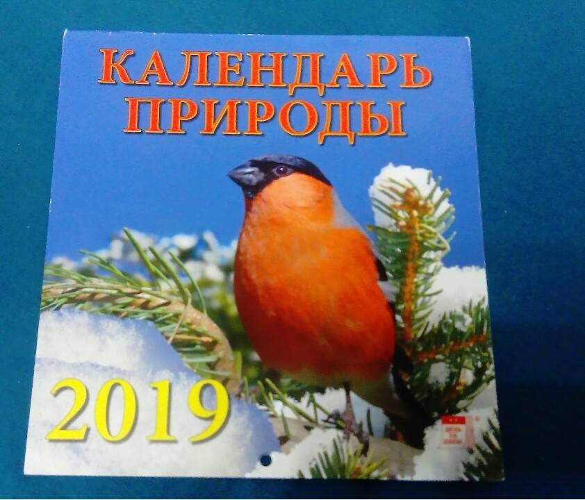 Иллюстрация 4 из 5 для Календарь природы 2019 (30910) | Лабиринт - сувениры. Источник: Эльвира Якупова