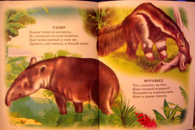 Иллюстрация 11 из 16 для Атлас животного мира - Владимир Степанов | Лабиринт - книги. Источник: Glukovarenik