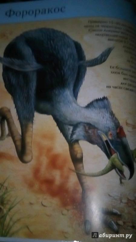 Иллюстрация 24 из 58 для Вымершие животные. Полная энциклопедия | Лабиринт - книги. Источник: Смирнова Марина